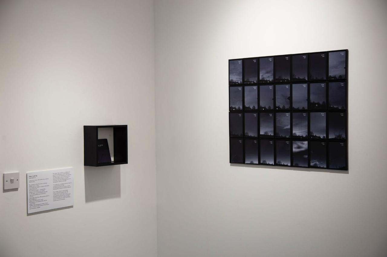 Stop, Look Up was my university's project last spring. My work was exhibited in Diva: Dun Laoghaire (gallery, accessible to everyone), 2025